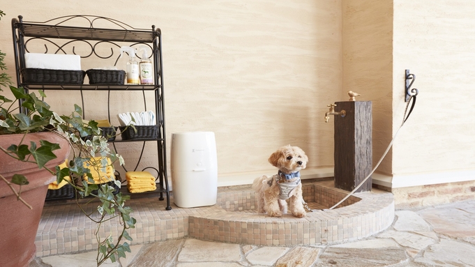 ルシアン旧軽井沢 宿泊プラン一覧 楽天トラベル ルシアン旧軽井沢 宿泊プラン一覧 楽天トラベル